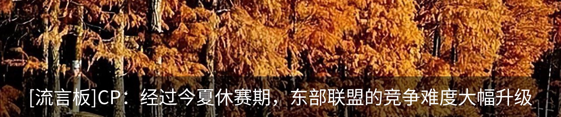 内页banner